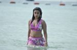 Payal Ghosh (Harika) in Bikini Swimwear Photoshoot on 30th May 2010 (4).JPG